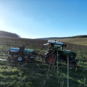 RootWave eWeeder treating in a vineyard during winter