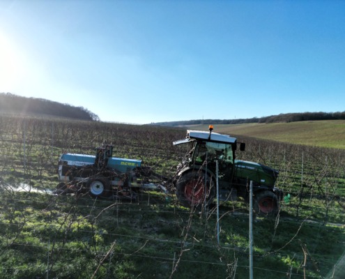 RootWave eWeeder treating in a vineyard during winter