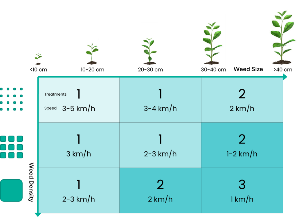 Recommended Treatments